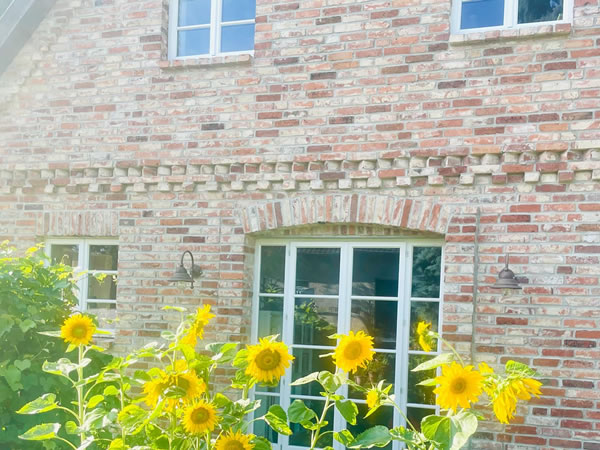 Der Charme der Klinkerfassade des englischen Cottages wird durch die Sonnenblumen unterstrichen - Englische Cottages aus Celle - Bauunternehmen Alan Berry